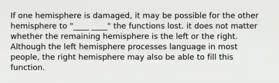 If one hemisphere is damaged, it may be possible for the other hemisphere to "____ ____" the functions lost. it does not matter whether the remaining hemisphere is the left or the right. Although the left hemisphere processes language in most people, the right hemisphere may also be able to fill this function.