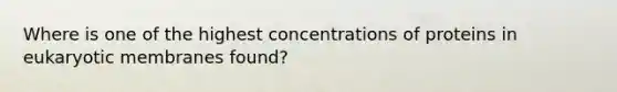 Where is one of the highest concentrations of proteins in eukaryotic membranes found?