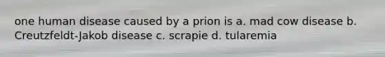 one human disease caused by a prion is a. mad cow disease b. Creutzfeldt-Jakob disease c. scrapie d. tularemia