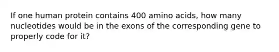 If one human protein contains 400 amino acids, how many nucleotides would be in the exons of the corresponding gene to properly code for it?