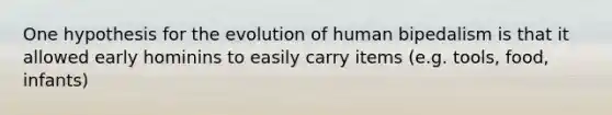 One hypothesis for the evolution of human bipedalism is that it allowed early hominins to easily carry items (e.g. tools, food, infants)