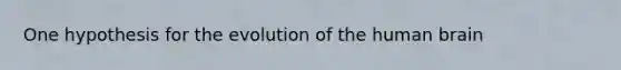 One hypothesis for the evolution of the human brain