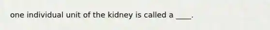 one individual unit of the kidney is called a ____.