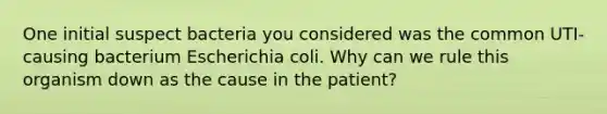 One initial suspect bacteria you considered was the common UTI-causing bacterium Escherichia coli. Why can we rule this organism down as the cause in the patient?