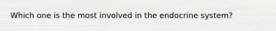 Which one is the most involved in the endocrine system?