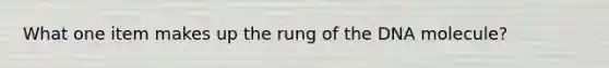 What one item makes up the rung of the DNA molecule?
