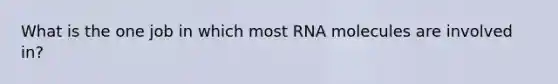 What is the one job in which most RNA molecules are involved in?