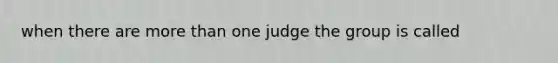 when there are more than one judge the group is called