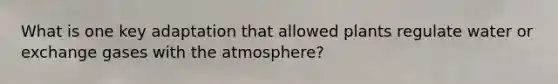 What is one key adaptation that allowed plants regulate water or exchange gases with the atmosphere?