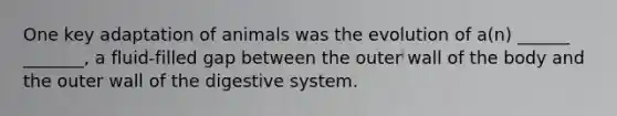 One key adaptation of animals was the evolution of a(n) ______ _______, a fluid-filled gap between the outer wall of the body and the outer wall of the digestive system.