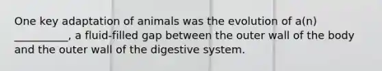 One key adaptation of animals was the evolution of a(n) __________, a fluid-filled gap between the outer wall of the body and the outer wall of the digestive system.