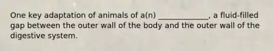 One key adaptation of animals of a(n) _____________, a fluid-filled gap between the outer wall of the body and the outer wall of the digestive system.