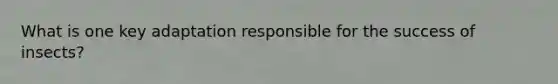 What is one key adaptation responsible for the success of insects?