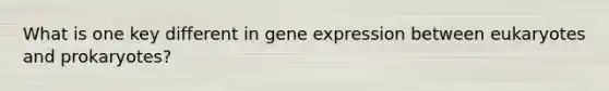 What is one key different in <a href='https://www.questionai.com/knowledge/kFtiqWOIJT-gene-expression' class='anchor-knowledge'>gene expression</a> between eukaryotes and prokaryotes?