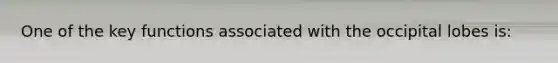 One of the key functions associated with the occipital lobes is: