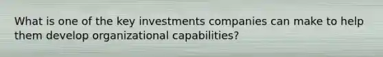 What is one of the key investments companies can make to help them develop organizational capabilities?