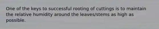 One of the keys to successful rooting of cuttings is to maintain the relative humidity around the leaves/stems as high as possible.