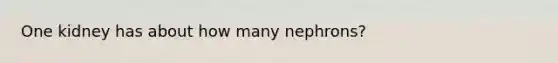 One kidney has about how many nephrons?