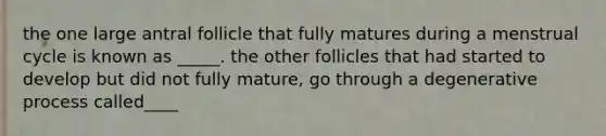 the one large antral follicle that fully matures during a menstrual cycle is known as _____. the other follicles that had started to develop but did not fully mature, go through a degenerative process called____