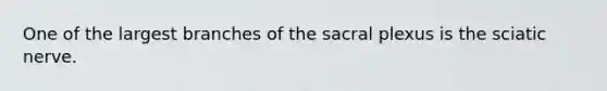 One of the largest branches of the sacral plexus is the sciatic nerve.