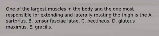 One of the largest muscles in the body and the one most responsible for extending and laterally rotating the thigh is the A. sartorius. B. tensor fasciae latae. C. pectineus. D. gluteus maximus. E. gracilis.