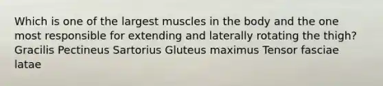 Which is one of the largest muscles in the body and the one most responsible for extending and laterally rotating the thigh? Gracilis Pectineus Sartorius Gluteus maximus Tensor fasciae latae