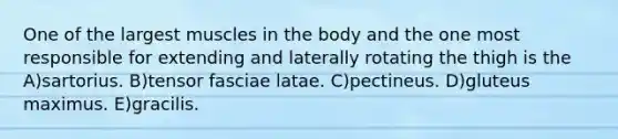 One of the largest muscles in the body and the one most responsible for extending and laterally rotating the thigh is the A)sartorius. B)tensor fasciae latae. C)pectineus. D)gluteus maximus. E)gracilis.