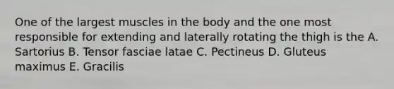 One of the largest muscles in the body and the one most responsible for extending and laterally rotating the thigh is the A. Sartorius B. Tensor fasciae latae C. Pectineus D. Gluteus maximus E. Gracilis