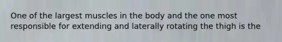 One of the largest muscles in the body and the one most responsible for extending and laterally rotating the thigh is the