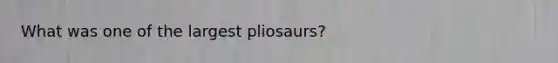 What was one of the largest pliosaurs?