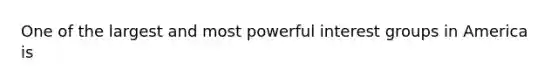 One of the largest and most powerful interest groups in America is
