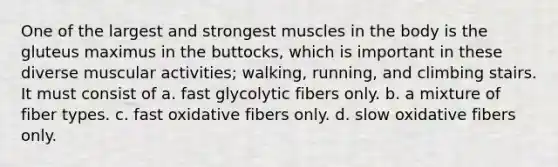 One of the largest and strongest muscles in the body is the gluteus maximus in the buttocks, which is important in these diverse muscular activities; walking, running, and climbing stairs. It must consist of a. fast glycolytic fibers only. b. a mixture of fiber types. c. fast oxidative fibers only. d. slow oxidative fibers only.