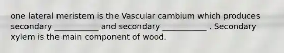 one lateral meristem is the Vascular cambium which produces secondary ___________ and secondary ___________ . Secondary xylem is the main component of wood.