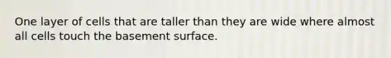 One layer of cells that are taller than they are wide where almost all cells touch the basement surface.