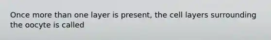 Once more than one layer is present, the cell layers surrounding the oocyte is called