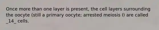 Once more than one layer is present, the cell layers surrounding the oocyte (still a primary oocyte; arrested meiosis I) are called _14_ cells.