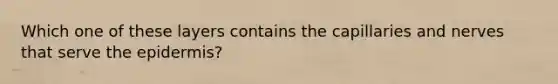 Which one of these layers contains the capillaries and nerves that serve the epidermis?