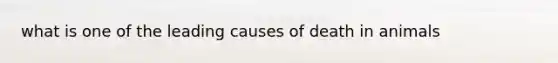 what is one of the leading causes of death in animals