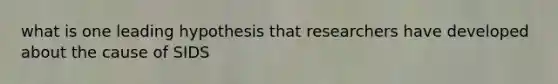 what is one leading hypothesis that researchers have developed about the cause of SIDS