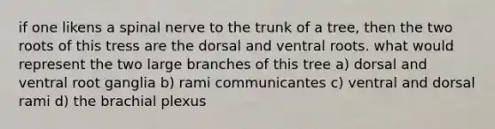 if one likens a spinal nerve to the trunk of a tree, then the two roots of this tress are the dorsal and ventral roots. what would represent the two large branches of this tree a) dorsal and ventral root ganglia b) rami communicantes c) ventral and dorsal rami d) the brachial plexus