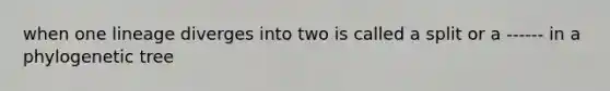 when one lineage diverges into two is called a split or a ------ in a phylogenetic tree