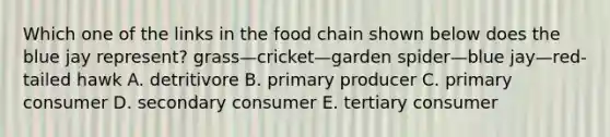 Which one of the links in the food chain shown below does the blue jay represent? grass—cricket—garden spider—blue jay—red-tailed hawk A. detritivore B. primary producer C. primary consumer D. secondary consumer E. tertiary consumer