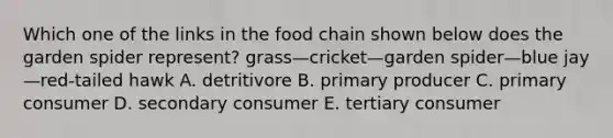 Which one of the links in the food chain shown below does the garden spider represent? grass—cricket—garden spider—blue jay—red-tailed hawk A. detritivore B. primary producer C. primary consumer D. secondary consumer E. tertiary consumer