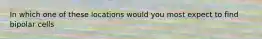 In which one of these locations would you most expect to find bipolar cells