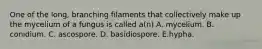 One of the long, branching filaments that collectively make up the mycelium of a fungus is called a(n) A. mycelium. B. conidium. C. ascospore. D. basidiospore. E.hypha.