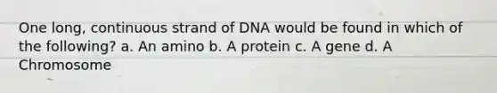 One long, continuous strand of DNA would be found in which of the following? a. An amino b. A protein c. A gene d. A Chromosome