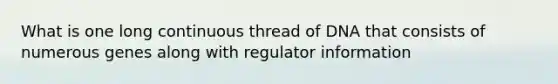 What is one long continuous thread of DNA that consists of numerous genes along with regulator information