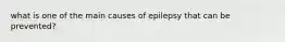 what is one of the main causes of epilepsy that can be prevented?