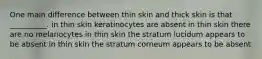 One main difference between thin skin and thick skin is that __________. in thin skin keratinocytes are absent in thin skin there are no melanocytes in thin skin the stratum lucidum appears to be absent in thin skin the stratum corneum appears to be absent