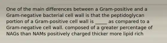 One of the main differences between a Gram-positive and a Gram-negative bacterial cell wall is that the peptidoglycan portion of a Gram-positive cell wall is _____ as compared to a Gram-negative cell wall. composed of a greater percentage of NAGs than NAMs positively charged thicker more lipid rich